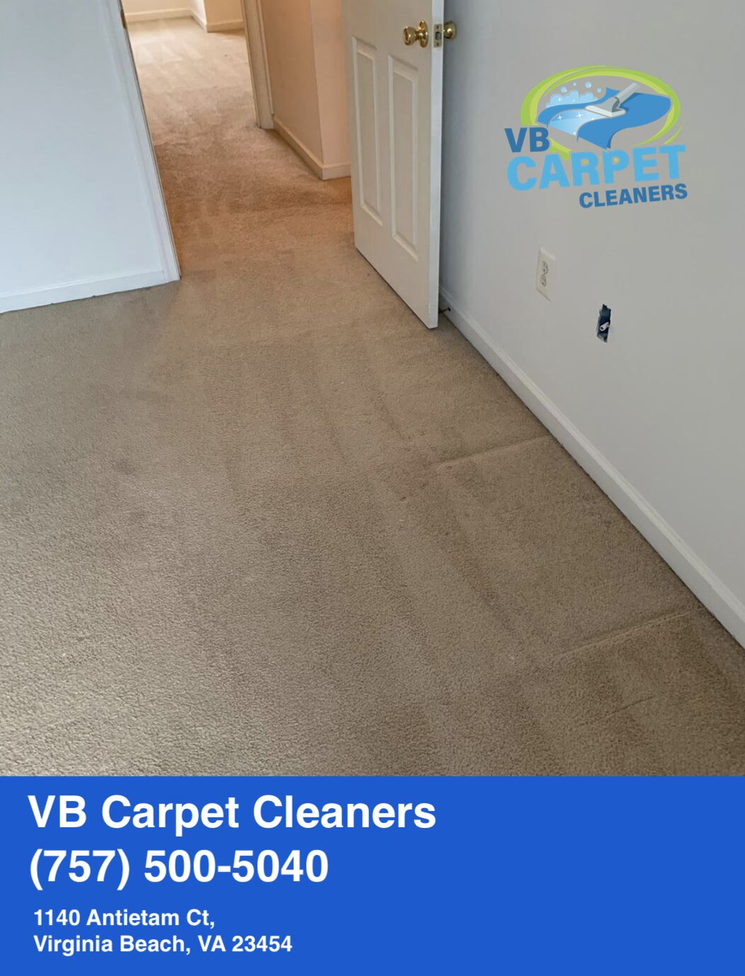 Rug Cleaning in VA Beach: The Definitive Guide