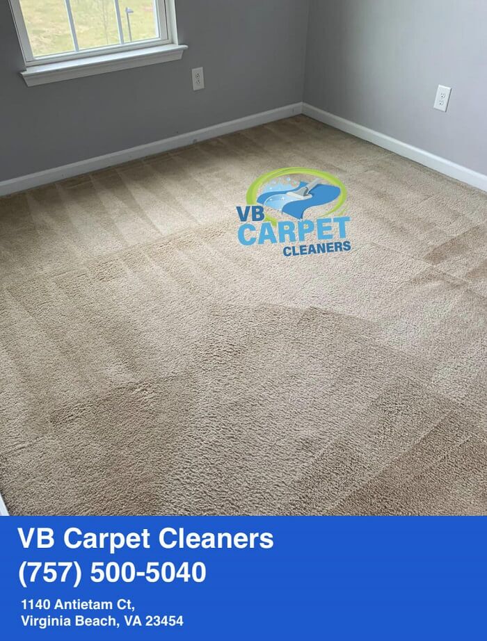 Rug Cleaning in VA Beach: The Definitive Guide